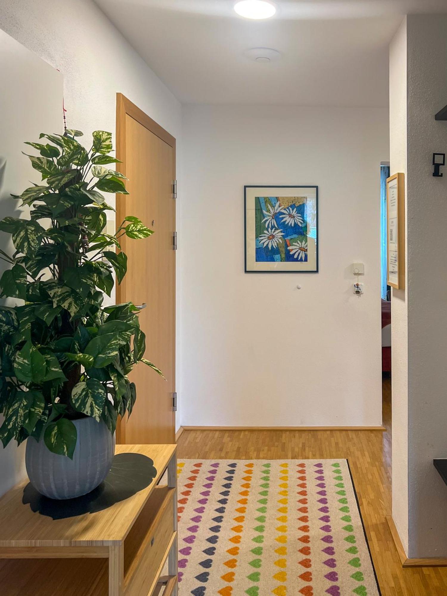 Apartments Im Loidls Guesthouse 特劳恩基兴 外观 照片